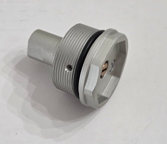 ENGI FORK CAP PLUG ASSEMBLY