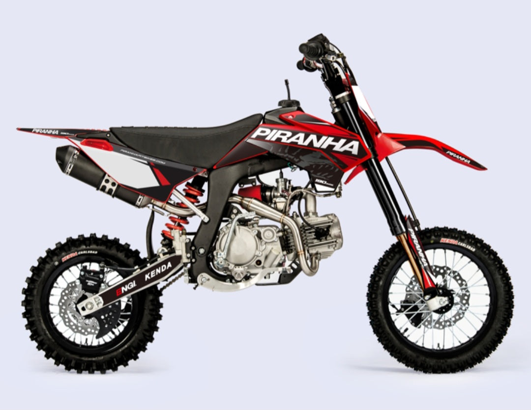 2024 PIRANHA P190-4V DE