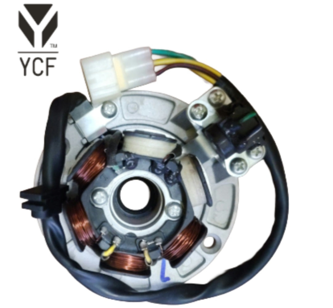 Stator (Bigy 150MXE E Start)