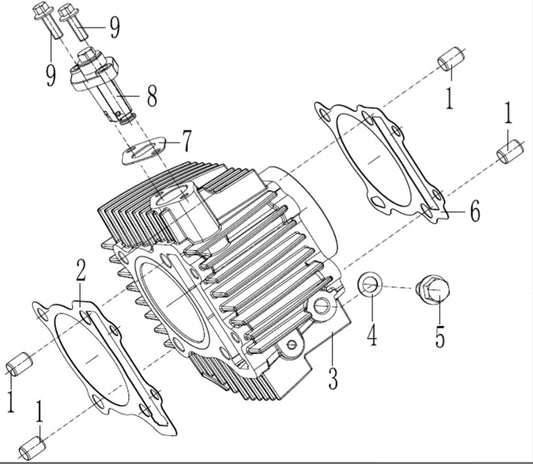 Cylinder ASSEMBLY Zongshen 190
