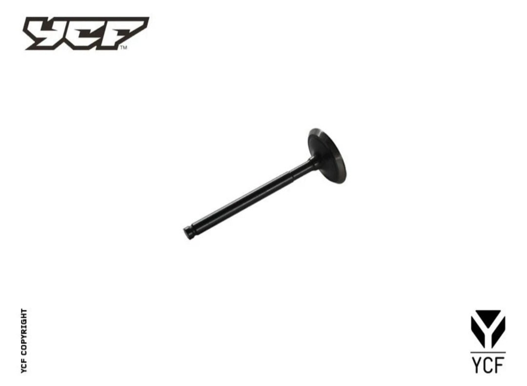 Exhaust Valve (SM150,GP157)
