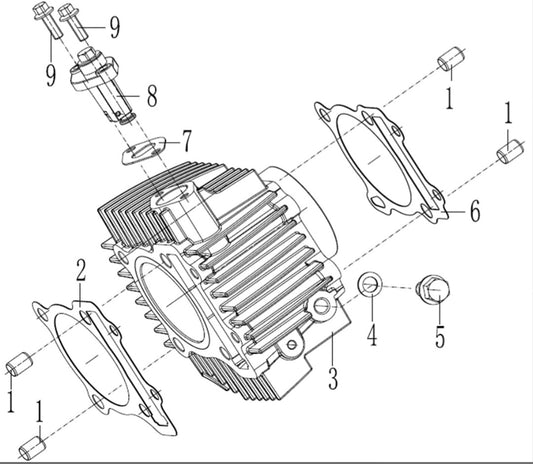 Cylinder ASSEMBLY Zongshen 190