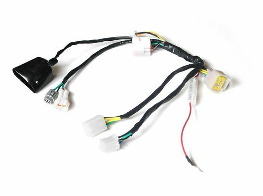 WIRE HARNESS - START 125SE & P125-E